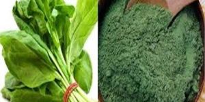 Spinach Powder