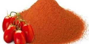 Tomato Powder