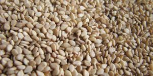 Sesame Seeds
