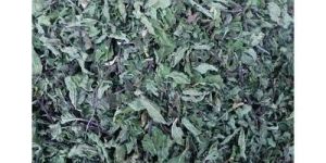 Herbal Dried Mint Leaves