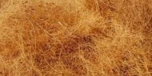 Coconut Fibre