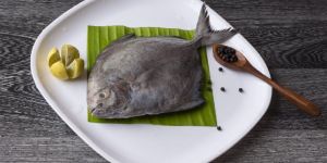 Fresh Black Pomfret Fish