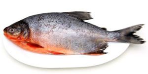 Fresh Roopchand Fish