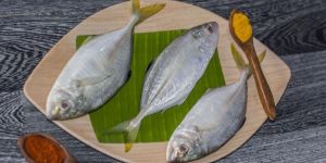 Fresh Trevally Fish