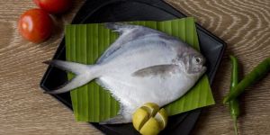 Fresh White Pomfret Fish