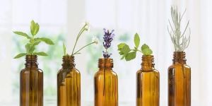 Essential Oil