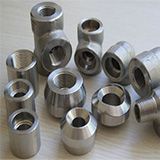 Titanium Forged Fittings