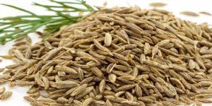 Organic Cumin Seeds