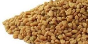 Organic Fenugreek Seeds