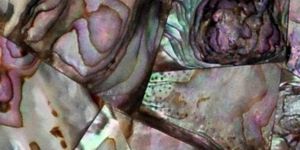 Mother of Pearl Gemstone