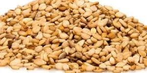 Sesame Seeds