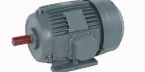 Three Phase Induction Motor