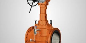 Double Block and Bleed Plug Valve