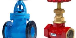 Globe Valve