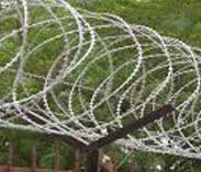 Concertina Wire