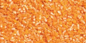Maize Grit