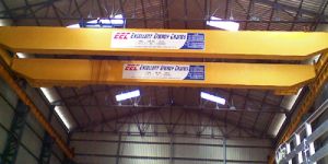 EOT Cranes