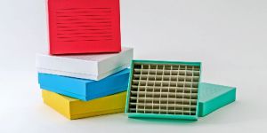 Laminated Corrugated Carton