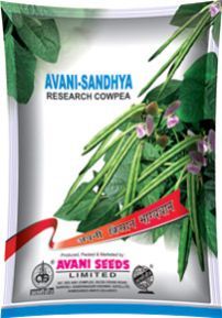 Cowpea Seeds