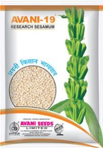 Sesame Seeds