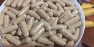 Cordyceps Militaris Capsules