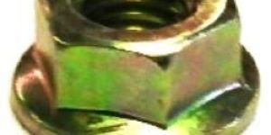 Flange Nut