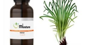 Vetiver Essential Oil