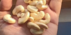 Cashew Nuts W 240