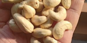 Cashew Nuts W 320