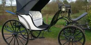 Wedding Horse Carriage