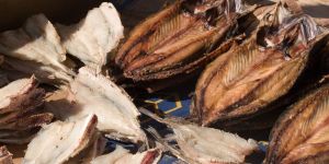 Dry Fish