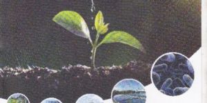 TEX MICRO CLEAN BIO CULTURE