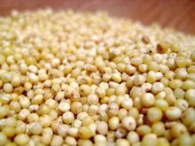Millet Grain