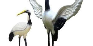 White Siberian Crane Bird Pair