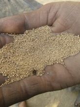 Garment Tiny Glass Beads