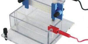 Vertical Electrophoresis System