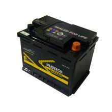 Luxury Car Battery