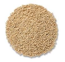 Millet Animal Feed