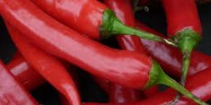 Raw Red Chilli