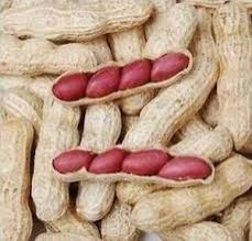 Red Skin Peanut in Shell