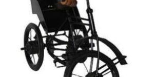 WOODEN DECORATIVE RICKSHAW