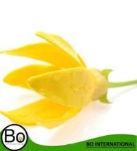 Ylang Ylang Oil