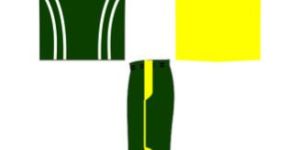 South Africa Cricket Jersey