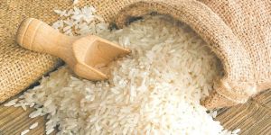 Pusa Basmati Rice