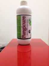 FUNGI CURE