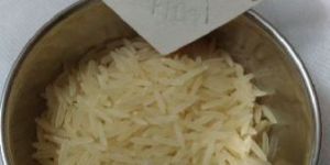 Indian Origin Rice Basmati & Non- Basmati