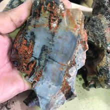 Rough Natural Arizona Petrified Wood