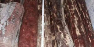 Redsanders Wood Logs