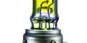 H7 Halogen Bulbs