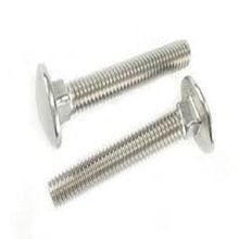 SS Square Bolts